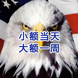 达拉特要账公司